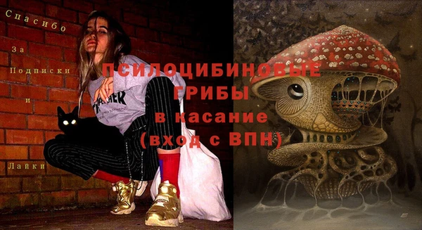 прущие грибы Алексеевка
