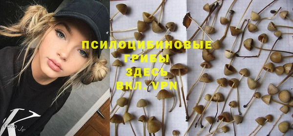 a pvp Алексин