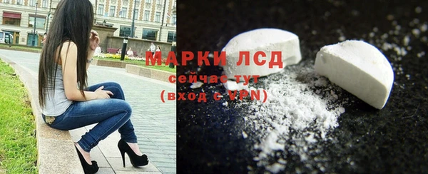 дмт Алзамай