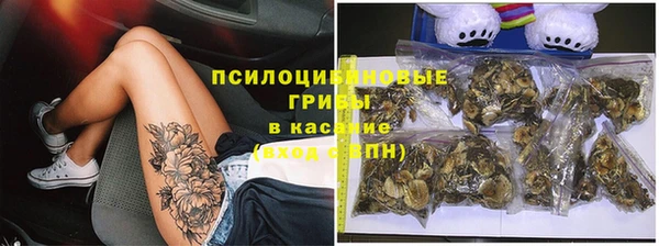 прущие грибы Алексеевка