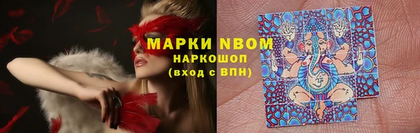 дмт Алзамай