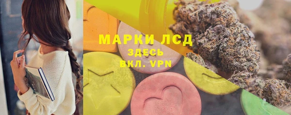 дмт Алзамай