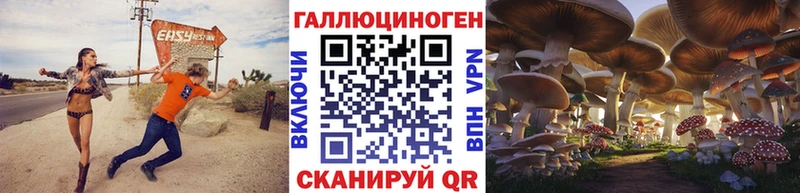 mega ТОР  Чаплыгин  Галлюциногенные грибы ЛСД 
