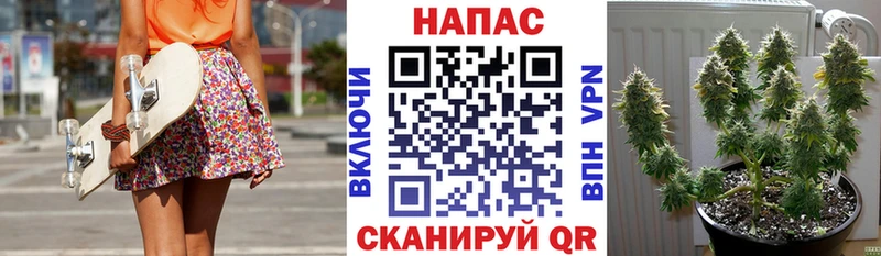 Бошки Шишки AK-47  Чаплыгин 